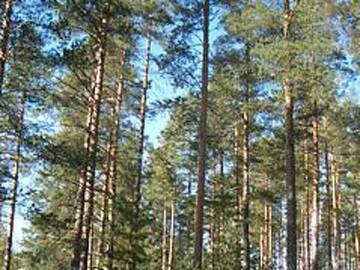 Фото номера Дом для отпуска Дома для отпуска Holiday Home Hietaranta г. Kihniö 28